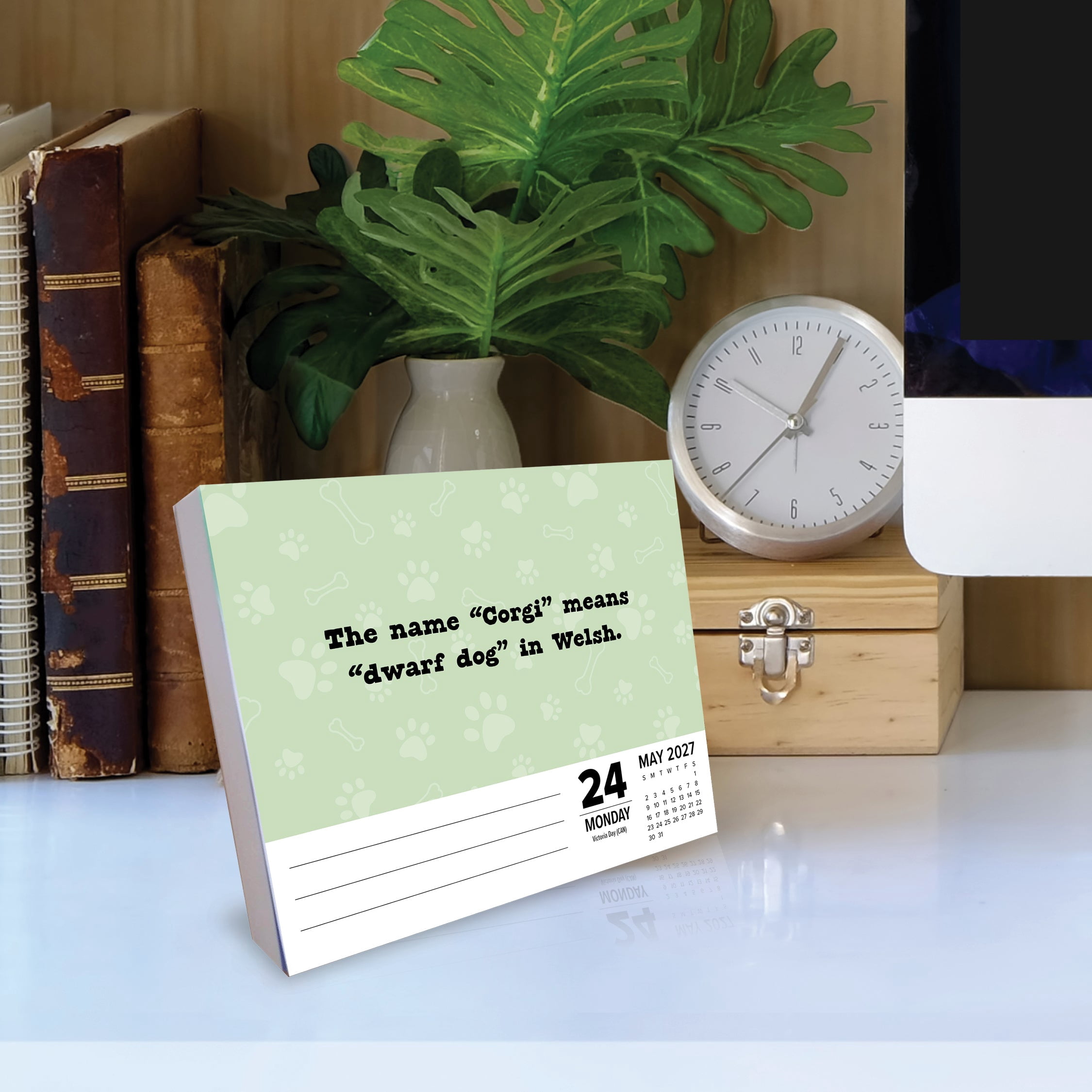 Willow Creek Press, All About Dogs 2027 Box Calendar