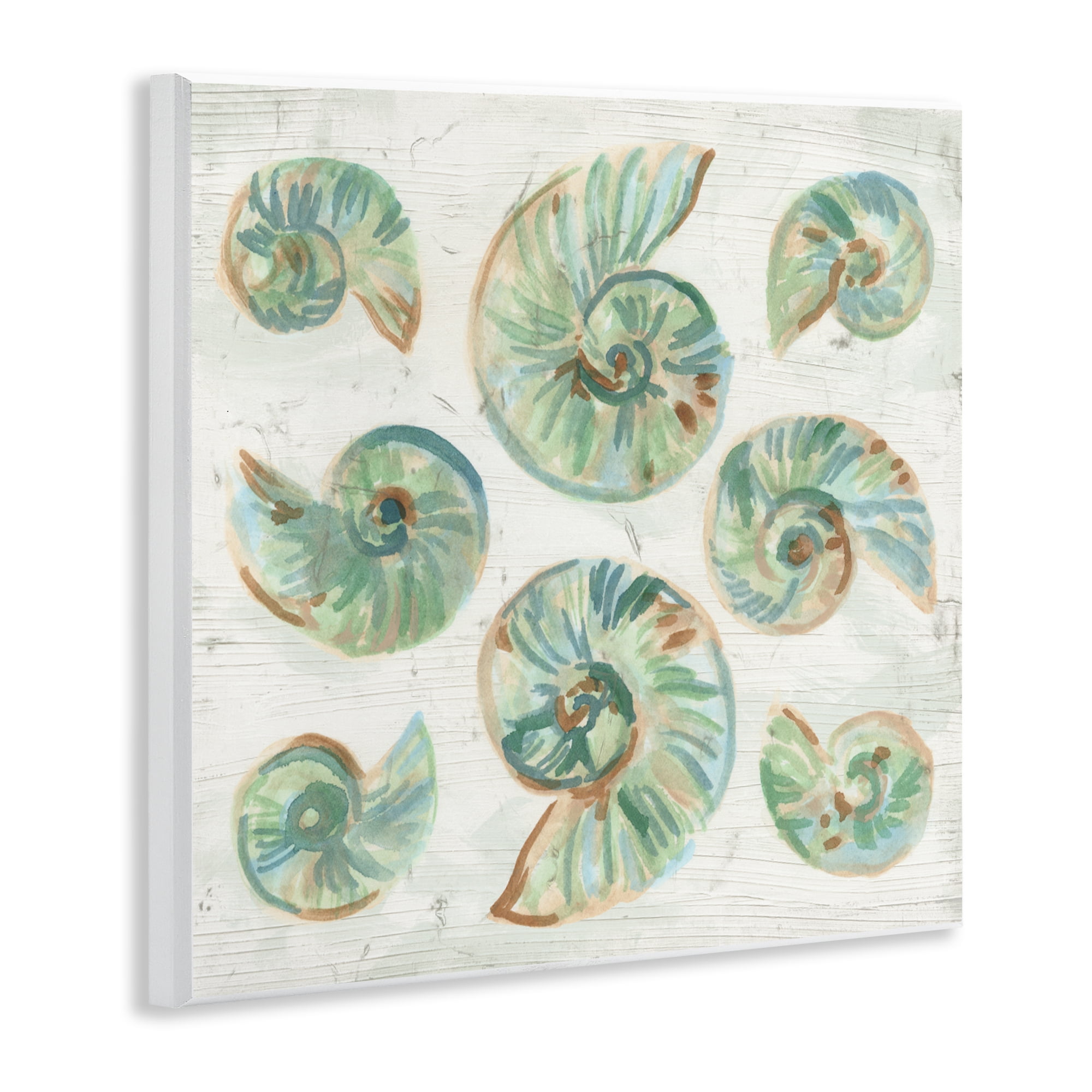Stupell Industries Organic Saltwashed Shells Wall Plaque Art, design by June Erica Vess
