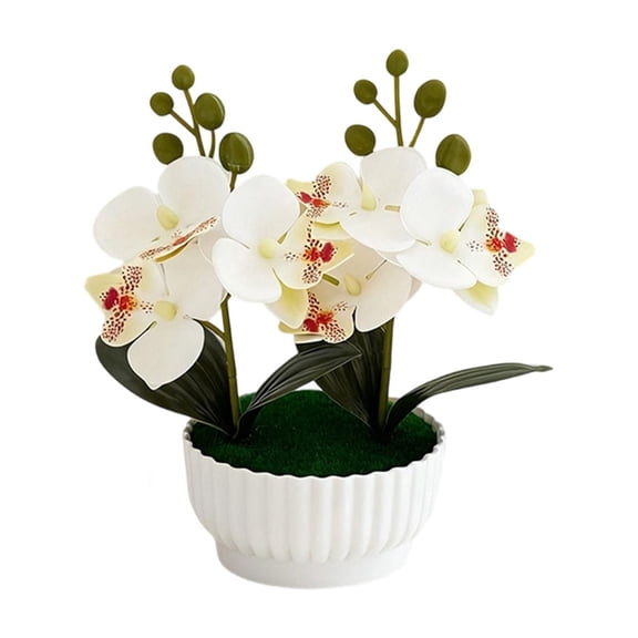Artificial Orchids Realistic Phalaenopsis Potted Plant with Ceramic Pot for Home Office Desk Decor