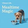 thumbnail image 4 of Vibrant Life Small 3.4-Cup Stainless Steel Pet Bowl, Silver, 4 of 10