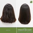 thumbnail image 3 of BIOLAGE Shampooing, Shampooing de Récupération de Force pour Cheveux Abîmés, Nettoie en Douceur et Réduit la Casse, pour Tous les Types de Cheveux Abîmés et Sensibilisés, Remplace la Dose de Kératine et la Fibres Fortes, Végé, 3 of 8