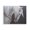 Majestic White Horse Portrait, variant on Stupell Industries The Mare In Profile Black Framed Floater Canvas Wall Art, design by Jadei Graphics
