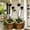 25in-2pcs#1, variant on Whimsical Metal Carnivorous Plant Garden Stake, Venus Flytrap Monster Plant Sculpture,Outdoor Decorative Plant Stake Sculpture for Lawn Garden Patio Yard Decor, Unique Garden Gift(25in-2pcs)