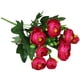 thumbnail image 1 of Carro Portamangueras Ajustable | Organizador de Mangueras | Almacena y Transporta Mangueras de Jardín | Uso Exterior para El Mantenimiento Del Césped, Las Plantas y Las Herramientas, 1 of 4