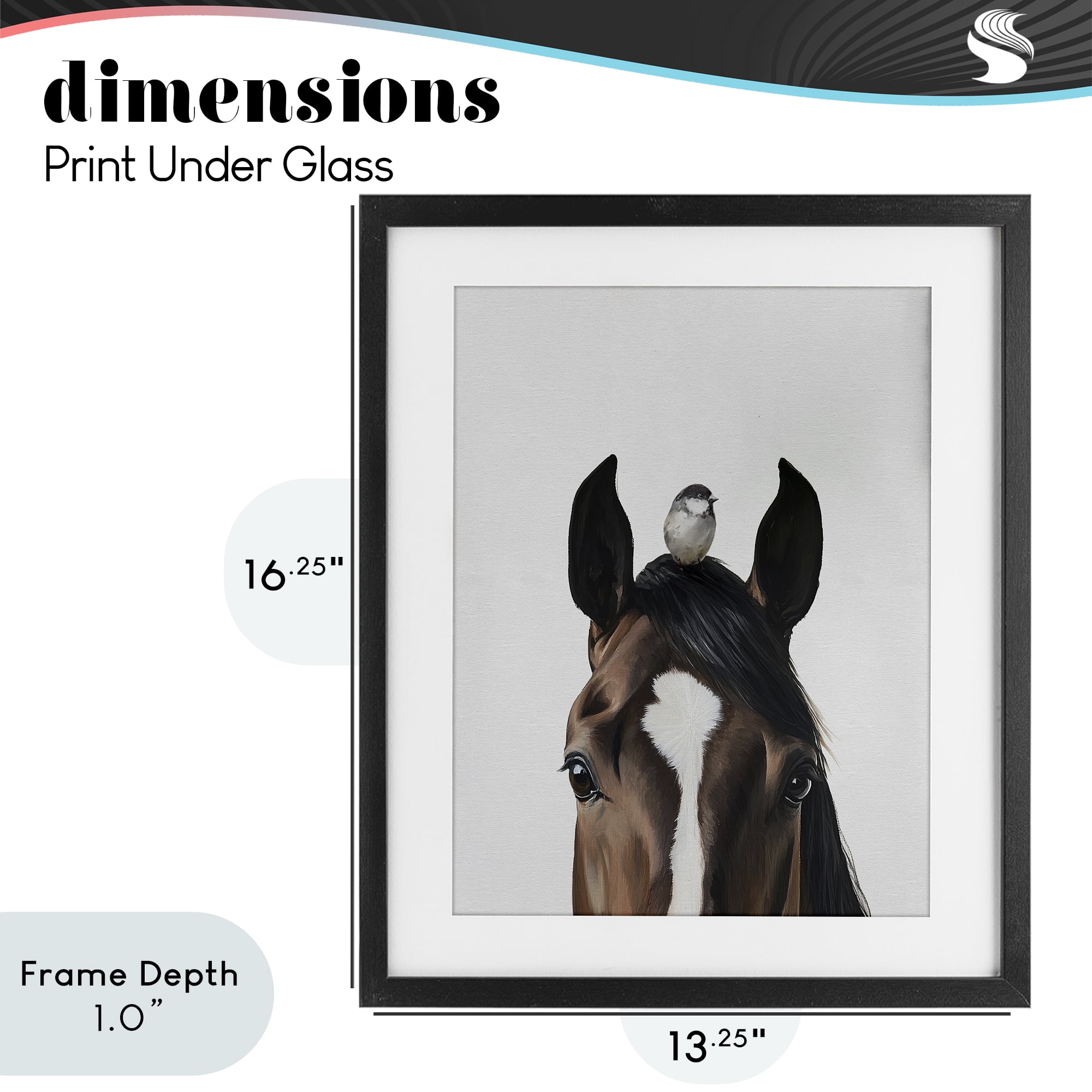 Stupell Industries Quiet Companion Horse & Bird Black Framed Print Under Glass, design by Svetlana Aleynikova