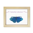 thumbnail image 1 of Blue Collection Desktop Photo Frame Picture Art Decoration Painting 6x8 inch, 1 of 3