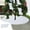 White, variant on 35in Christmas Tree Skirt and Matching Sock Set – Tree Bottom Decoration with Cut Slits, Elegant Holiday Decor for Christmas Parties, Living Room, Bedroom, and More