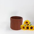 thumbnail image 4 of Cagogo 4Pcs Faux Tree Bark Planter, Resin Flower Pot Plastic Plant Container Indoor Outdoor, Succulents Herbs Cactus Pots, Decorative Garden Patio Home Decor, 4 Colors, 4 of 9