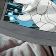 thumbnail image 4 of Pokemon Grass, Fire, Water Kids Mink Sherpa Throw, 4 of 5