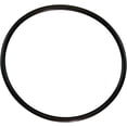thumbnail image 2 of Pentair 350013 Challenger Cover O-Ring, 2 of 2