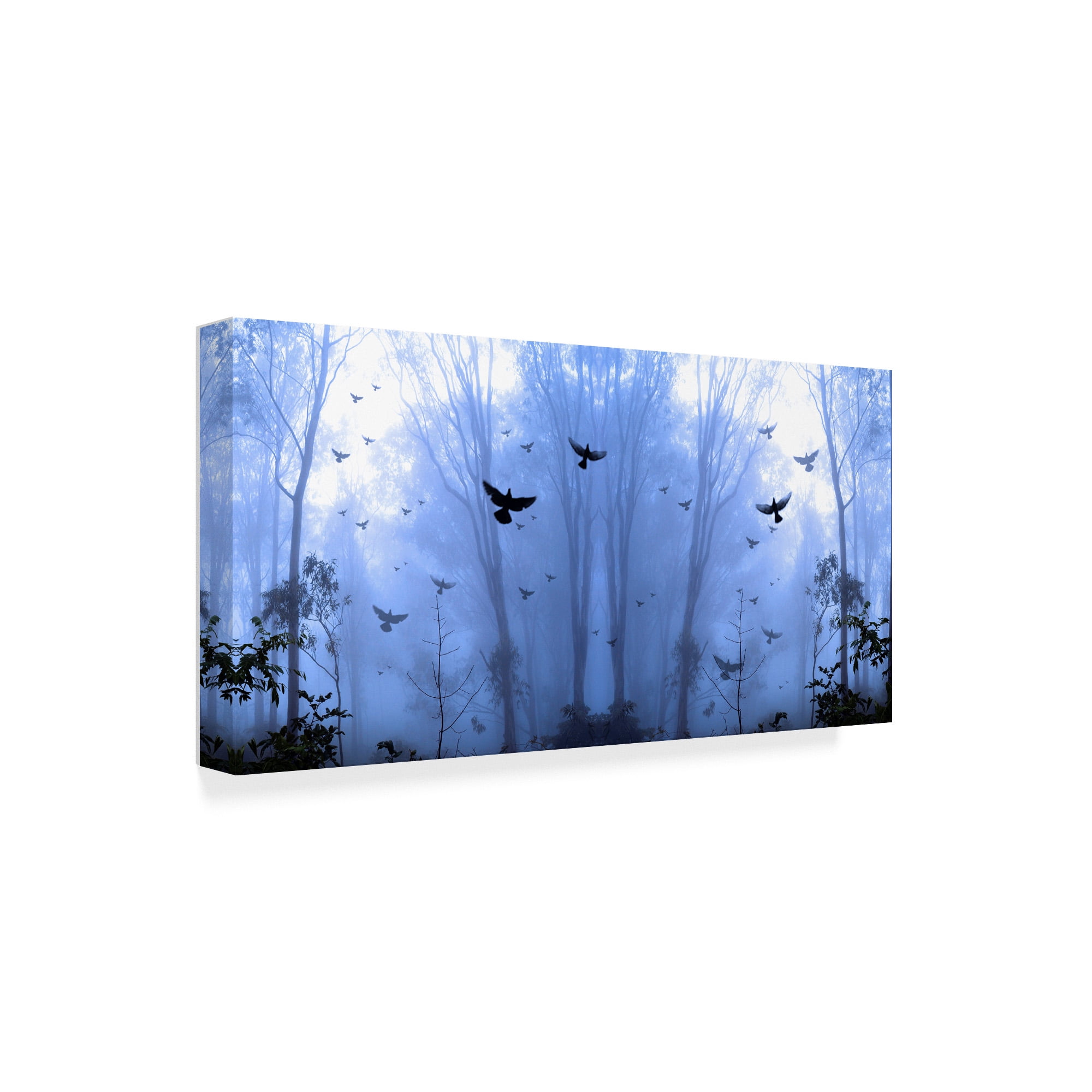 Trademark Fine Art 'Nature Collection 27' Canvas Art by Ata Alishahi