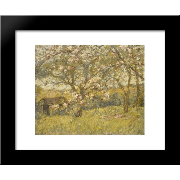 Apple Blossom 20x24 Framed Art Print by James Charles