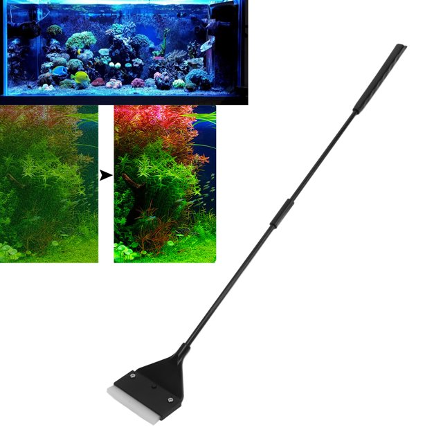 Scraper, Stable Long Handle 2 In 1 Fish Glass Scraper Small Multifunctional For Saltwater For Freshwater 42cm / 16.5in,52cm / 20.5in,62cm / 24.4in