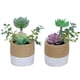 thumbnail image 1 of Plantas artificiales Vhermosa CPB-YL646-3, 1 of 5