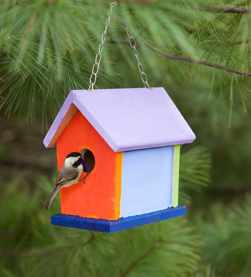 HearthSong Kid's Color Pops PaintYourOwn Classic Wooden Hanging