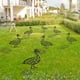 thumbnail image 3 of Jardinería césped pato al aire libre patios traseros simulación silueta pato decoración (B) Wdftyju Para estrenar, 3 of 9