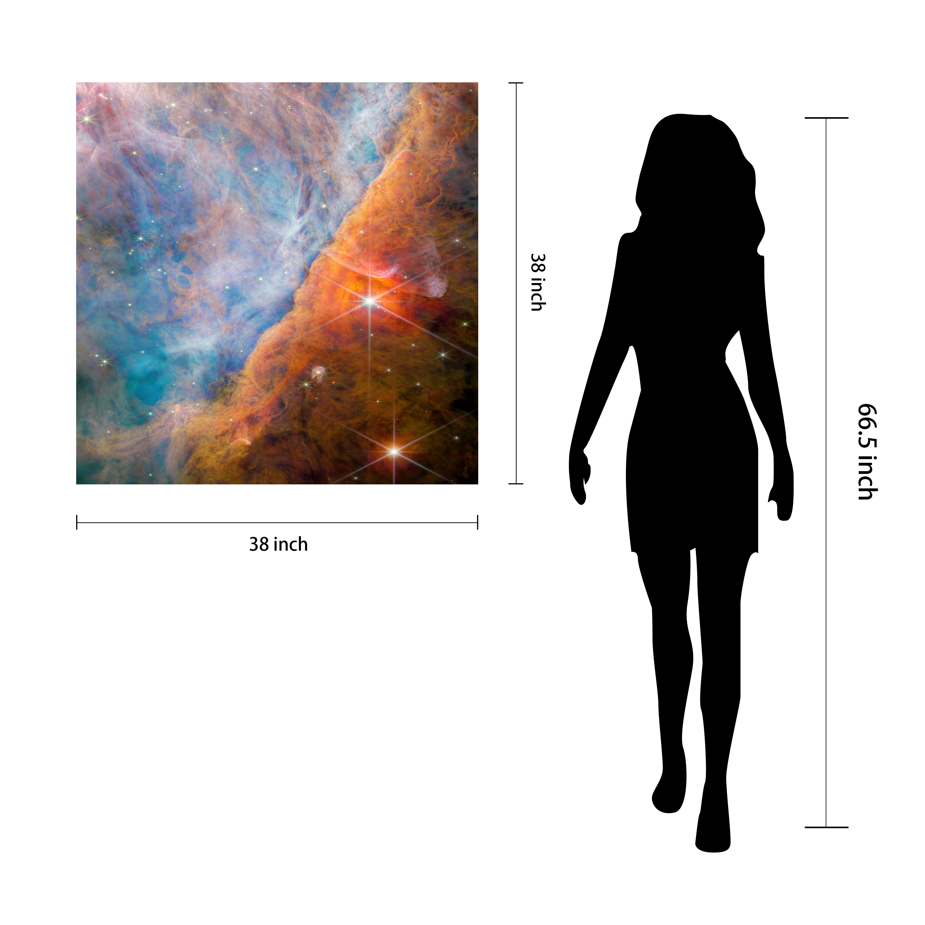 "Shimmering Orion Nebula" Frameless Free Floating Reverse Printed Tempered Art Glass Wall Art