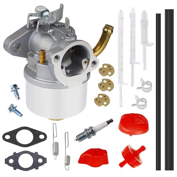 593357 Carburetor for Briggs and Stratton 795485 Snow Blower Engine 798917 Carburetor replace for Briggs and Stratton 794587 791953 791292 Engine Carb.