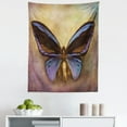 thumbnail image 1 of Butterfly Tapestry, Monarch Butterfly Vintage British Grunge Victorian Photography Art Theme Print, Fabric Wall Hanging Decor for Bedroom Living Room Dorm, 5 Sizes, Multicolor, by Ambesonne, 1 of 1