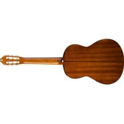 Washburn Classical Series C5 Acoustic Guitar, Rosewood Fretboard, Natural
