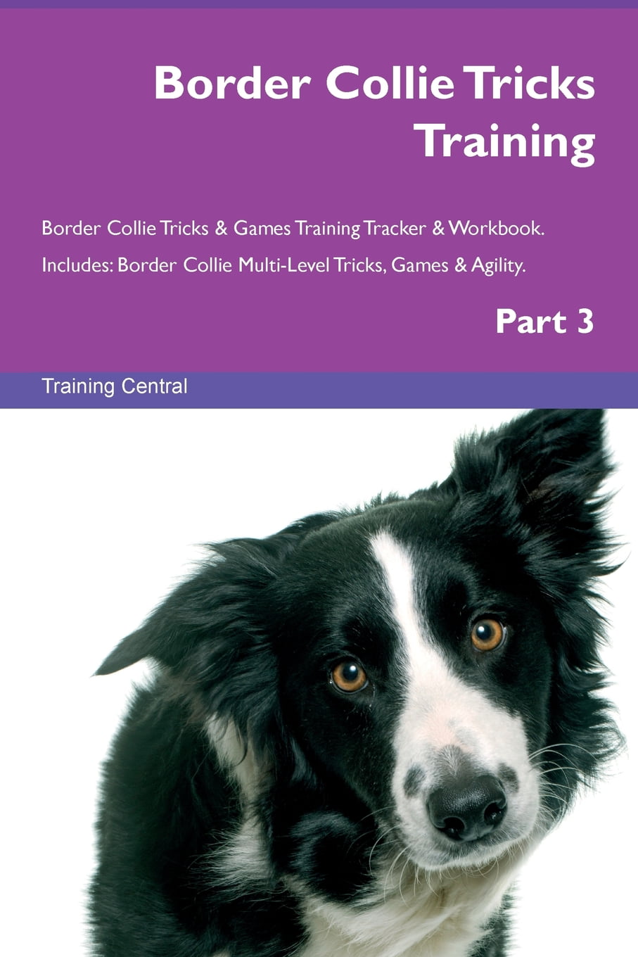 Border Collie Tricks Training Border Collie Tricks & Games