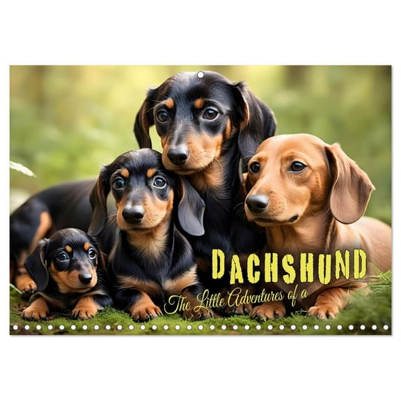 The Little Adventures of a Dachshund (Monthly Wall Calendar 2026 11.7 x 16.5 (open)), CALVENDO 14 Month Calendar