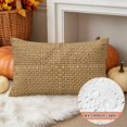 thumbnail image 3 of Farmhouse Lumbar Pillow Covers 20x12 Inch Set of 2, Country Chic Plaid Gingham Burlap Texture Waterproof Outdoor Pillow Covers, Decorative Cushion Pillowcases for Couch, Sofa, Bed, Garden, Patio, 3 of 9