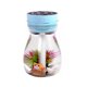 thumbnail image 5 of Humidificador de aire Scienceny con siete luces portátil Blanco Rosa Azul, 5 of 6