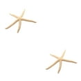 thumbnail image 1 of Ounissouiy Natural White Finger Starfish Lightweight Portable Starfish Waterproof Home Decor Exquisite Window Decorations Type2 NO2, 1 of 6