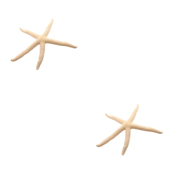 Decoración de hogar Inteprter estrella de mar natural Color blanco tamaño 5-10cm