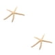 thumbnail image 1 of Billuyoard Natural 5-12cm/10-12cm Finger Starfish Lightweight Conch Decor Portable Home Exquisite Shells Window Waterproof Starfish Type5 NO5, 1 of 6