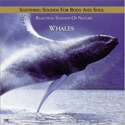 Humpback Whale Serenade
