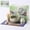 Cyan, variant on TAUFIKT Matcha Whisk Set, Ceramic Matcha Set 8 Pcs, Matcha Kit Set Includes Matcha Bowl, Matcha Whisk and Holder, Bamboo Scoop and Rest, Sifter and Tea Towel, Ideal Gift for Family/Friend (Pink)