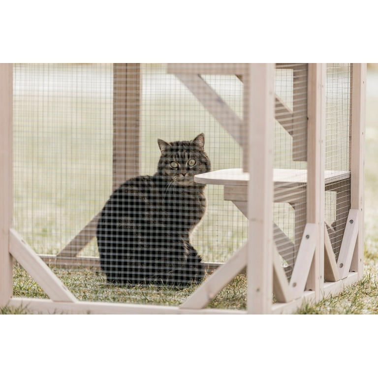 Scratching post cattery cheap