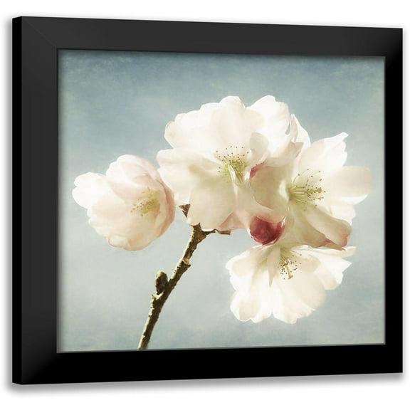 Van de Goor, Lars 12x12 Black Modern Framed Museum Art Print Titled - Happy Spring