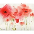 thumbnail image 2 of Golden, Sheila 24x20 White Modern Wood Framed Museum Art Print Titled - Red Poppies, 2 of 4