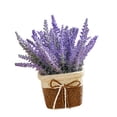 thumbnail image 1 of Flores artificiales en maceta, flores artificiales, bonsái, arreglo floral rústico decorativo para granja, oficina, sala de estar, cocina, escritorio Púrpura mayimx Cesta de flores, 1 of 8
