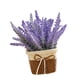 thumbnail image 1 of Flores artificiales en maceta Flores artificiales Bonsai Centros de mesa decorativos Decoración de mesa Arreglo floral para estante de oficina Granja Púrpura, 1 of 8