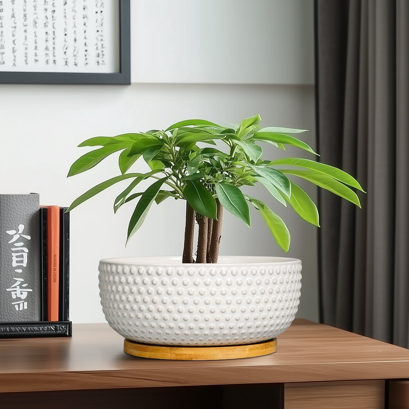 Ordivic 8 inch Round Off-White Ceramic Bonsai Pot with Drainage Hole & Saucer, Shallow Planter Bowl for Home Decor & Indoor Succulents