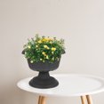 thumbnail image 3 of FRCOLOR Hydroponic Planting Container for Roman Column Water Lily and Narcissus 1 Set Planting Bowl, 3 of 9