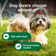 Advantus Chewable Flea Treatment for Dogs 4 - 22 lbs. 7 Soft Chews