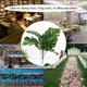 thumbnail image 5 of Planta Artificial, Flor, Follaje Falso Para El Hogar, Sala De Estar, Decoración De Jardín, 5 of 7
