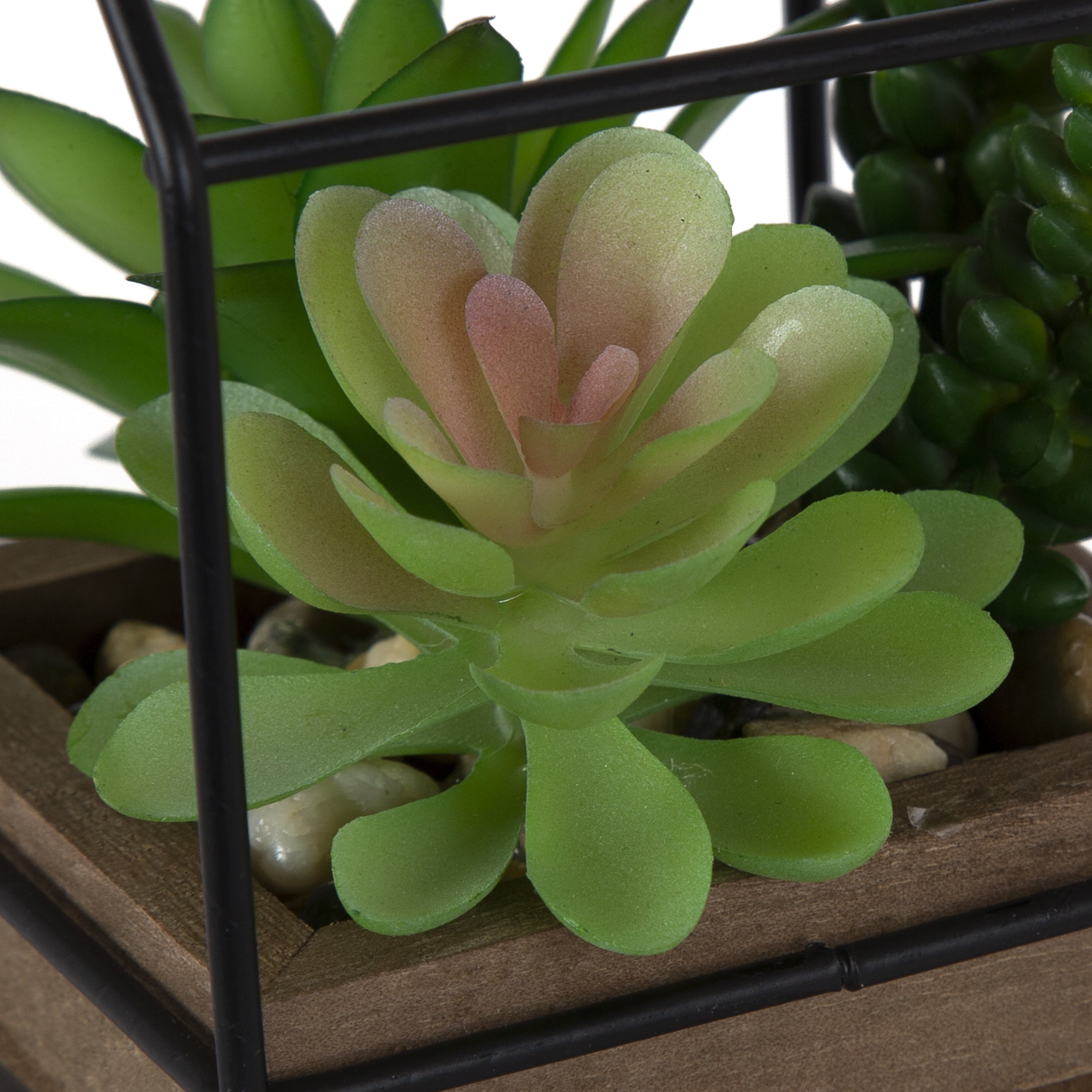 Mainstays 5.5" Artificial Mixed Succulents in Black Metal House Terrarium