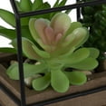 thumbnail image 6 of Mainstays 5.5" Artificial Mixed Succulents in Black Metal House Terrarium, 6 of 11