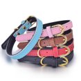 thumbnail image 5 of Collar básico clásico de cuero acolchado para mascotas para perros pequeños a medianos MFZFUKR CPB-US-YY411-2, 5 of 5