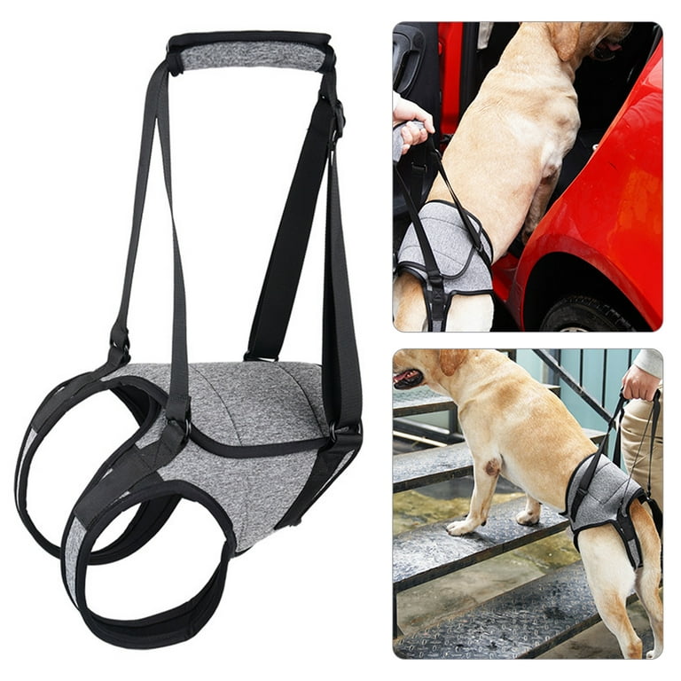 Dog harness weak legs top