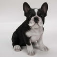 thumbnail image 5 of Hi-Line Gift Ltd Sitting French Bulldog Puppy Statue, 5 of 5