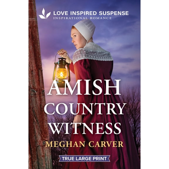 Plain Secrets Amish Country Witness, Book 2, (Paperback)