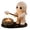 B, variant on Cute Ghost Candle, Halloween Decoration Figurine, Roasting Candy Corn, Fall Tabletop Centerpiece, Home Desk Decor, Bedroom Decorative Ornament