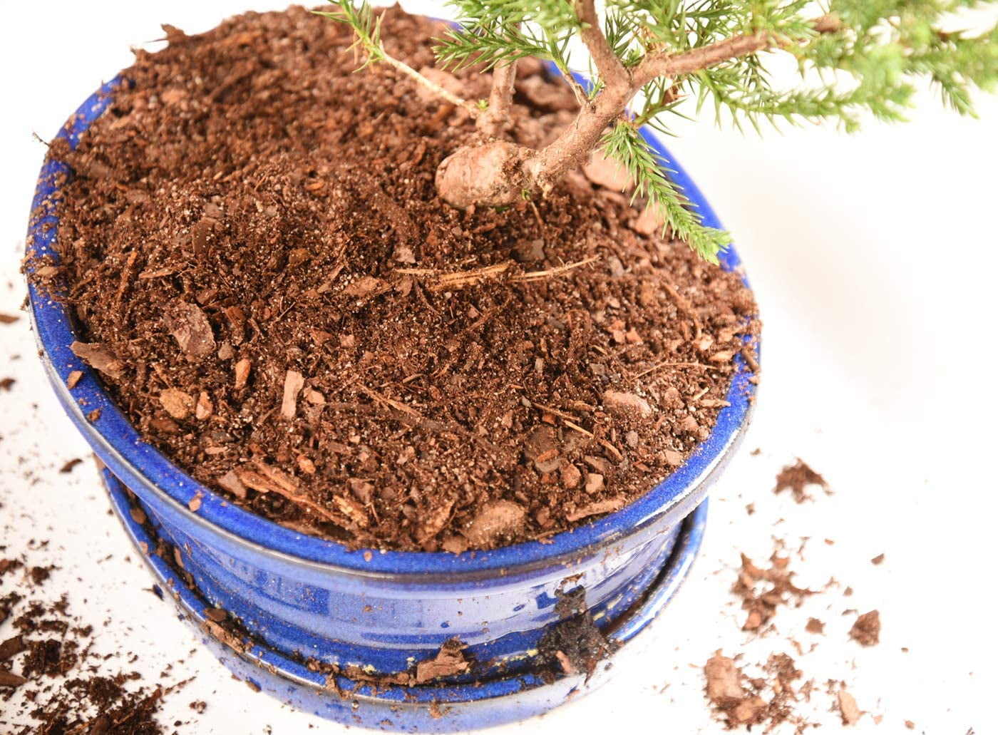 Perfect Plants, Bonsai Soil, 8 quarts, All-Purpose Mix - Walmart.com
